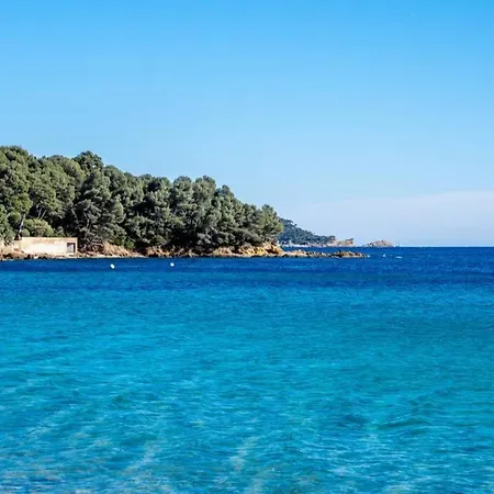 Coco Le Lavandou